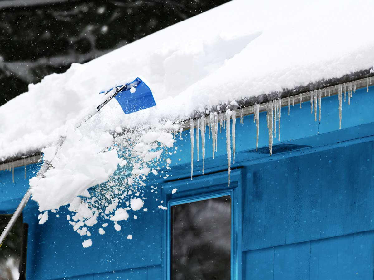 A snow-covered roof has icicles hanging from the eaves of a blue house.