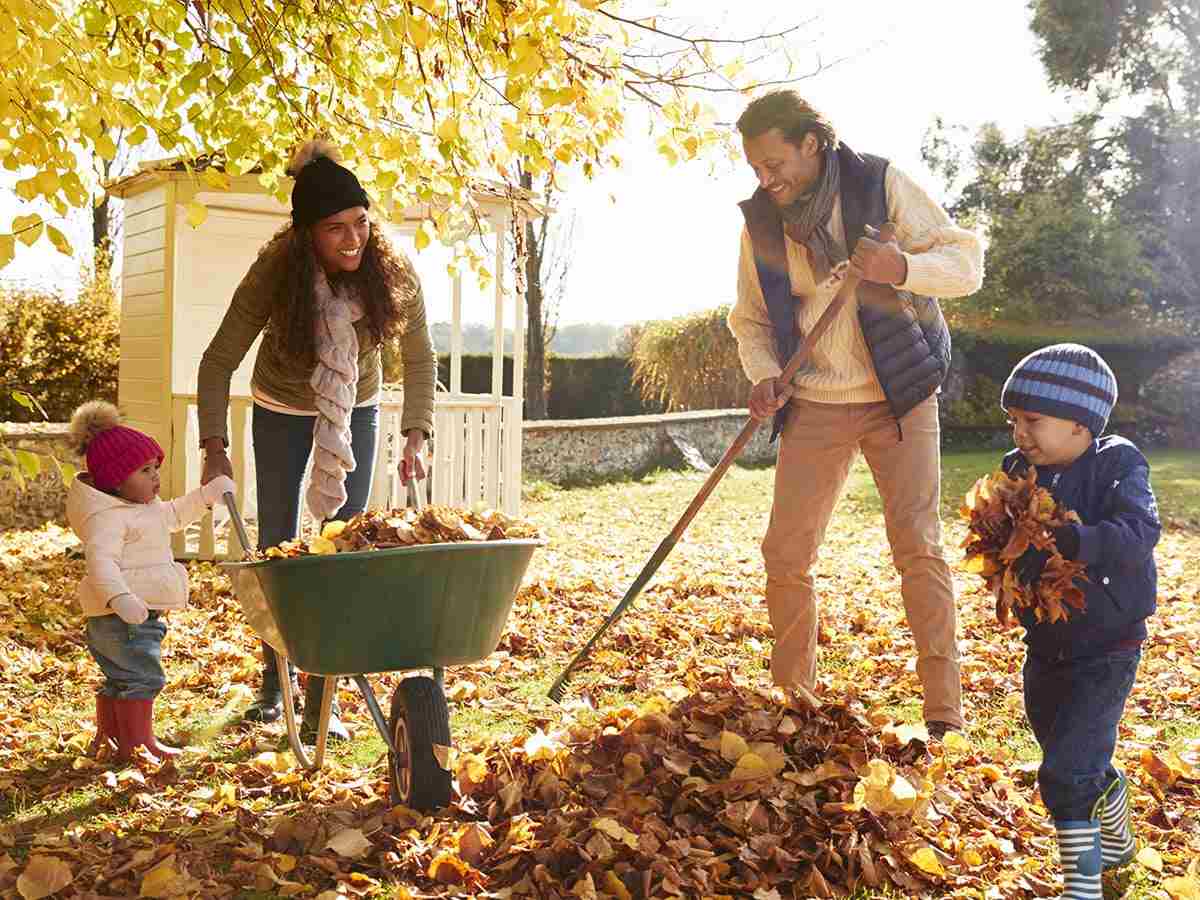 A mother, father and 2 young children rake the leaves in their backyard.